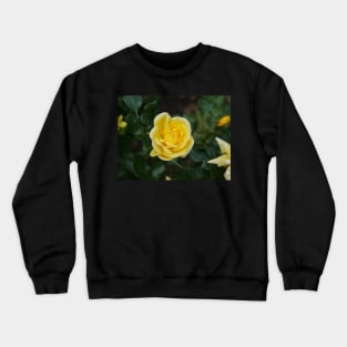 Yellow rose flower Crewneck Sweatshirt